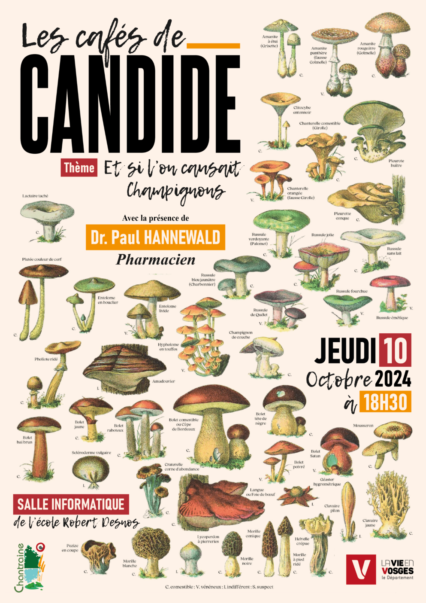 LES CAFÉS DE CANDIDE